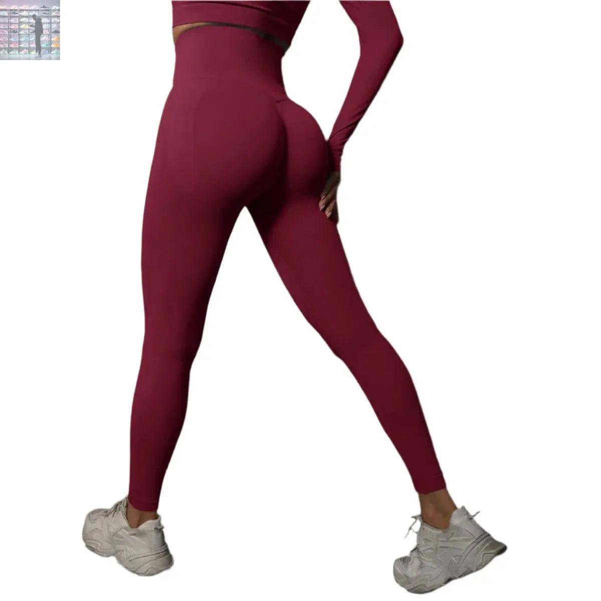 Seamless Gym Leggings Women Yoga Pants - Sydney picks